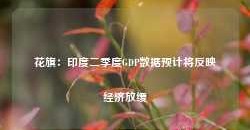 花旗：印度二季度GDP数据预计将反映经济放缓