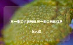 三一重工招聘司机,三一重工司机待遇怎么样