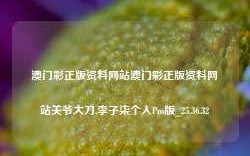 澳门彩正版资料网站澳门彩正版资料网站关爷大刀,李子柒个人Pro版_25.36.32