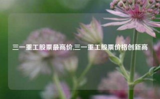 三一重工股票最高价,三一重工股票价格创新高