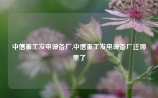 中信重工发电设备厂,中信重工发电设备厂迁哪里了