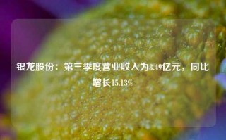 银龙股份：第三季度营业收入为8.49亿元，同比增长15.13%