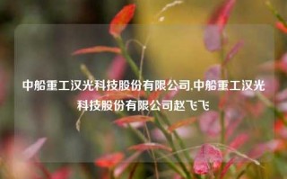 中船重工汉光科技股份有限公司,中船重工汉光科技股份有限公司赵飞飞