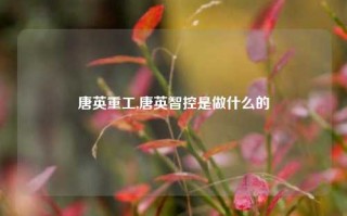 唐英重工,唐英智控是做什么的