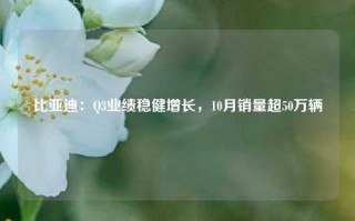 比亚迪：Q3业绩稳健增长，10月销量超50万辆