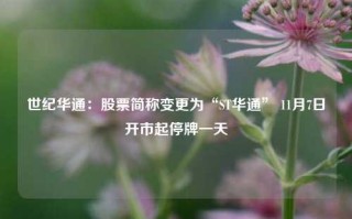 世纪华通：股票简称变更为“ST华通” 11月7日开市起停牌一天