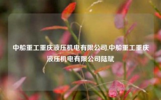 中船重工重庆液压机电有限公司,中船重工重庆液压机电有限公司陆斌