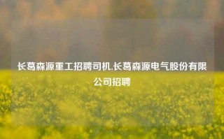 长葛森源重工招聘司机,长葛森源电气股份有限公司招聘