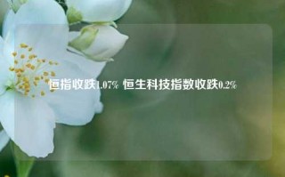 恒指收跌1.07% 恒生科技指数收跌0.2%