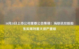 10月28日上市公司重要公告集锦：海联讯控股股东拟筹划重大资产重组