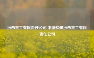 汾西重工有限责任公司,中国船舶汾西重工有限责任公司