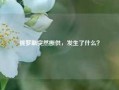 俄罗斯突然断供，发生了什么？