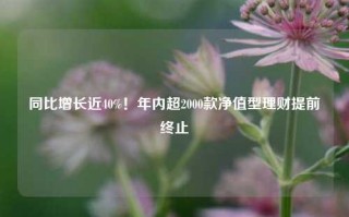 同比增长近40%！年内超2000款净值型理财提前终止