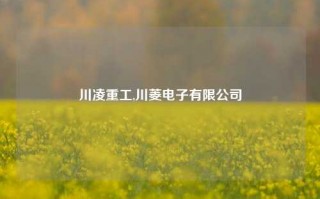 川凌重工,川菱电子有限公司