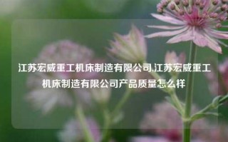 江苏宏威重工机床制造有限公司,江苏宏威重工机床制造有限公司产品质量怎么样