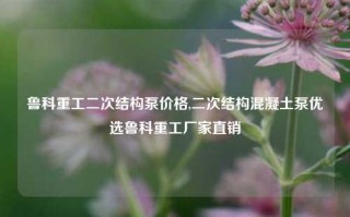 鲁科重工二次结构泵价格,二次结构混凝土泵优选鲁科重工厂家直销