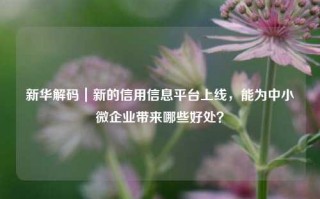 新华解码｜新的信用信息平台上线，能为中小微企业带来哪些好处？