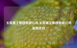 玉柴重工集团有限公司,玉柴重工集团有限公司是国企吗