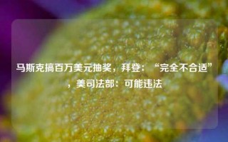 马斯克搞百万美元抽奖，拜登：“完全不合适”，美司法部：可能违法