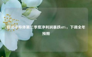 意法半导体第三季度净利润暴跌68%，下调全年预期