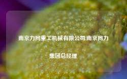 南京力同重工机械有限公司,南京同力集团总经理