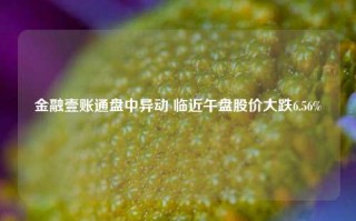 金融壹账通盘中异动 临近午盘股价大跌6.56%