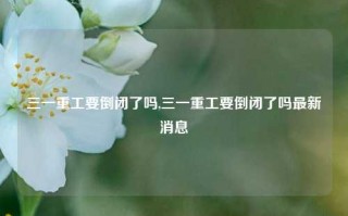 三一重工要倒闭了吗,三一重工要倒闭了吗最新消息