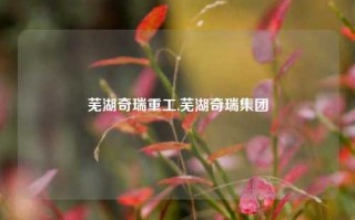 芜湖奇瑞重工,芜湖奇瑞集团