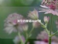 沃尔玛撤销DEI计划