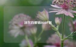 沃尔玛撤销DEI计划