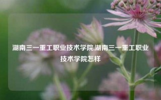 湖南三一重工职业技术学院,湖南三一重工职业技术学院怎样