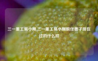 三一重工易小刚,三一重工易小刚前任妻子现在过的什么样