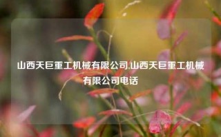 山西天巨重工机械有限公司,山西天巨重工机械有限公司电话