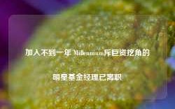 加入不到一年 Millennium斥巨资挖角的明星基金经理已离职