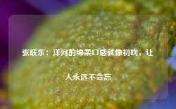 张联东：洋河的绵柔口感就像初吻，让人永远不会忘