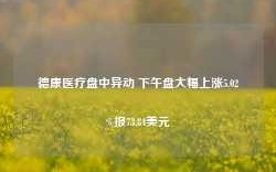 德康医疗盘中异动 下午盘大幅上涨5.02%报73.84美元