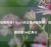 估值再涨！SpaceX拟出售内部股份，估值将超2500亿美元