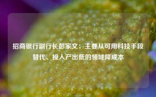 招商银行副行长彭家文：主要从可用科技手段替代、投入产出低的领域降成本