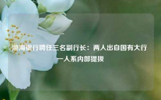 渤海银行聘任三名副行长：两人出自国有大行 一人系内部提拔