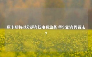 康卡斯特拟分拆有线电视业务 华尔街有何看法？