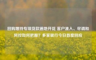 回购增持专项贷款遍地开花 客户准入、尽调和风控如何把握？多家银行今日首度回应