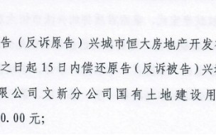 数年诉讼未果，辽宁葫芦岛1.2亿元土地转让纠纷背后，真相几何？