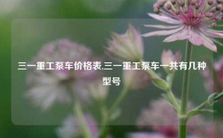 三一重工泵车价格表,三一重工泵车一共有几种型号