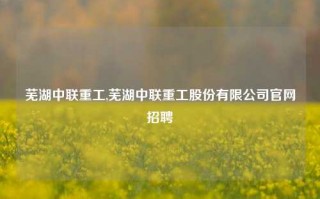 芜湖中联重工,芜湖中联重工股份有限公司官网招聘