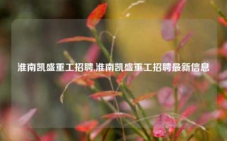 淮南凯盛重工招聘,淮南凯盛重工招聘最新信息