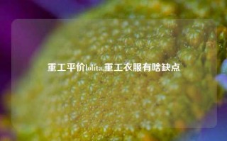 重工平价lolita,重工衣服有啥缺点