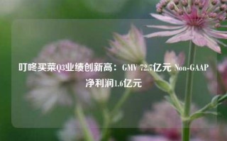 叮咚买菜Q3业绩创新高：GMV 72.7亿元 Non-GAAP净利润1.6亿元