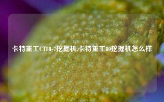 卡特重工CT80-7挖掘机,卡特重工80挖掘机怎么样