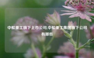 中船重工旗下上市公司,中船重工集团旗下公司有哪些