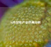 10月份硅产业供需分析